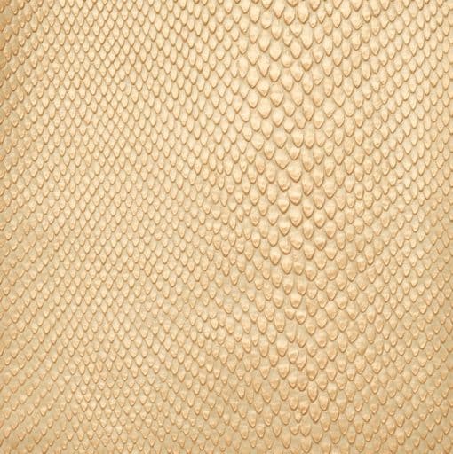 reptile