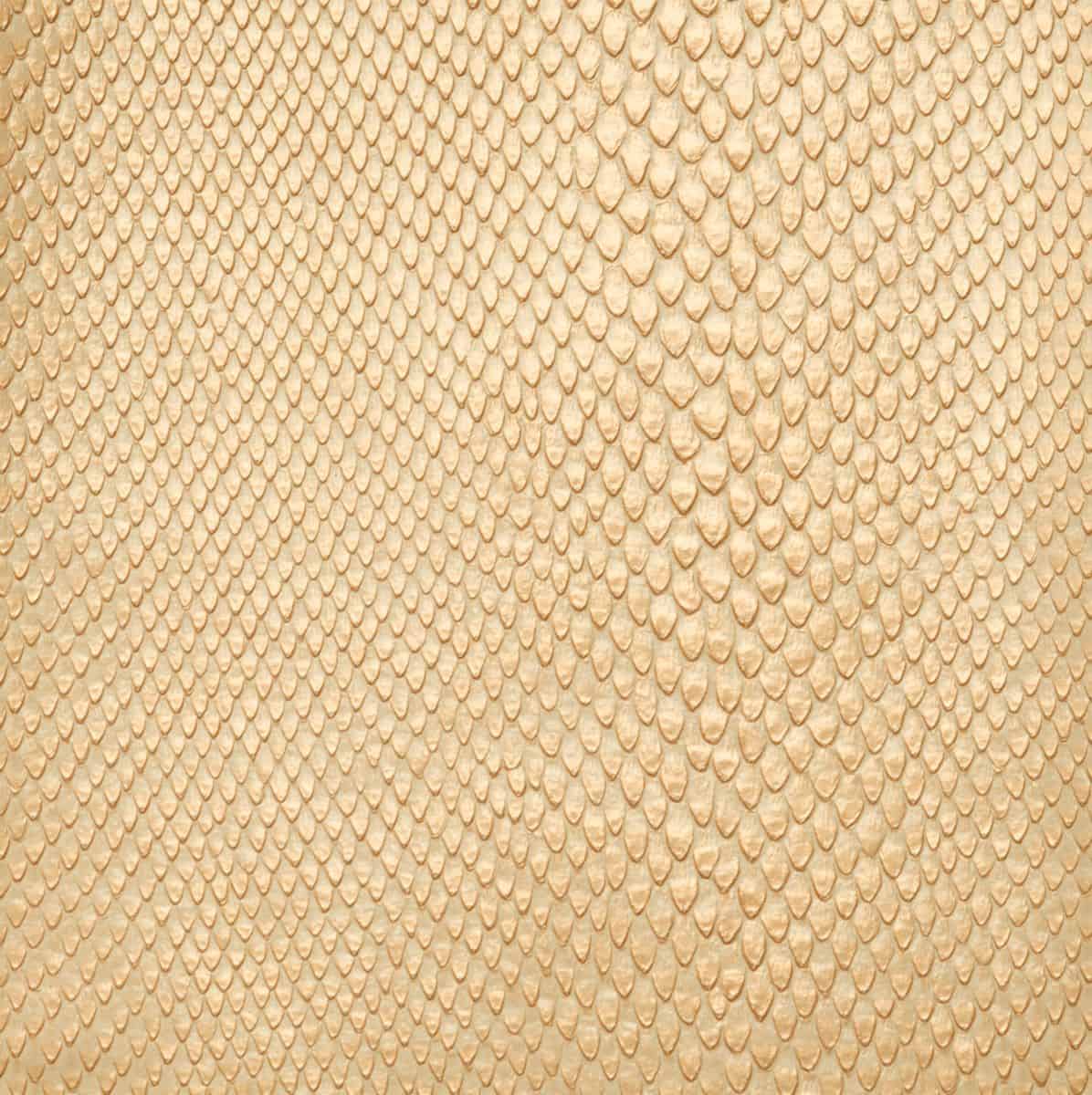 reptile
